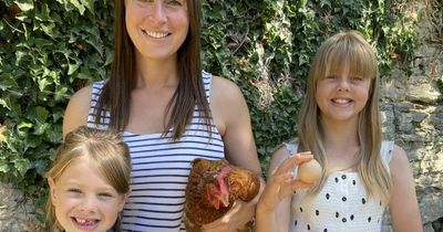 Family amazed as pet chicken 'lays one in a billion round egg' worth hundreds of pounds