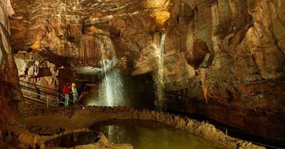 Welsh Government ministers banned from popular attraction because of 'anti-tourism' policies
