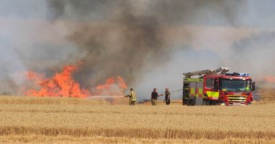 Terrifying blaze engulfs field amid warnings wildfires are 'national risk' to UK
