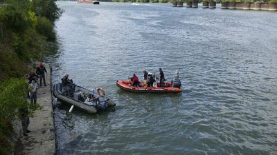 Teams prepare to move stranded beluga whale from river Seine