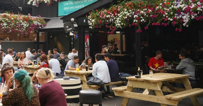 'Rock For Culture' to artistically protest famous Dublin beer garden closure