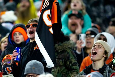 Two important details to know about Bengals’ Paycor Stadium naming deal