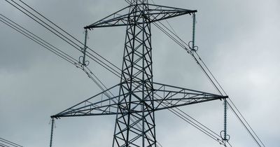 Government's emergency energy plan could bring blackouts this winter
