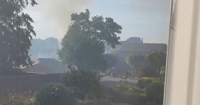 Thick smoke fills gardens as grass fire spreads near homes