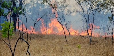 'Unacceptable costs': savanna burning under Australia's carbon credit scheme is harming human health