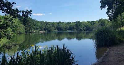 Dog walkers warned as several pooches die from drinking 'toxic' lake water