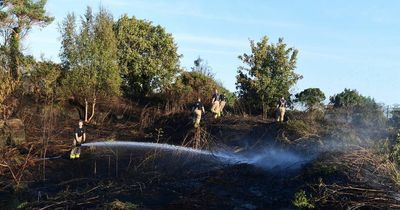 Huge area of grass and bushes destroyed by blaze