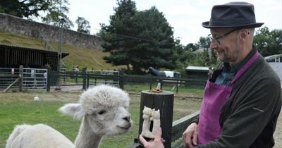 Edinburgh artist creates sculpture for Gorgie Farm alpacas as part of art trail