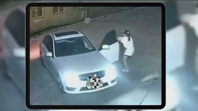 Mercedes Reverses On Its Own After Driver Fails At Backing Up