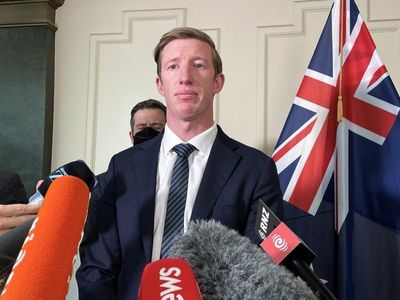 NZ MP Uffindell probed over fresh claims