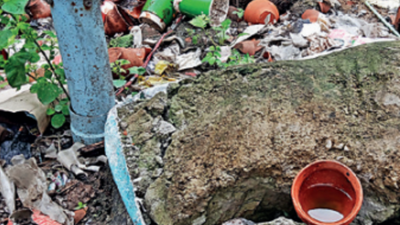 West Bengal: 11 of 30 Bidhannagar Municipal Corporation dengue cases from Salt Lake