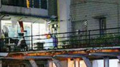 Kolkata: Scanner on garden at Arpita Mukherjee's Tolly flat