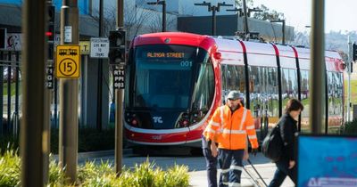 Driver view of light rail near misses released in renewed safety call