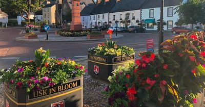 Planter, hanging basket and window box maker Amberol sold to bin and bollard maker Leafield Environmental