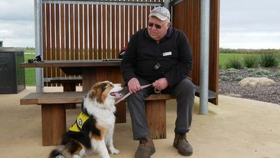 More veterans to be paired with assistance dogs following $22m funding boost