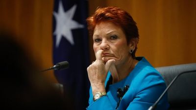 Pauline Hanson's One Nation may lose website names registered ahead of Indigenous Voice referendum campaign