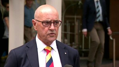 Adelaide Crows chairman says class action over controversial camp remains 'hypothetical'