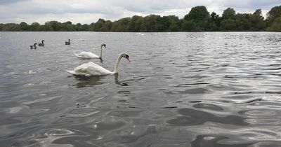 Key update after fishing was banned at Attenborough Nature Reserve