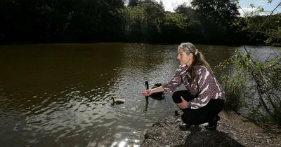'Our duck pond': Residents push back against Burwood dam removal