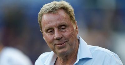 Harry Redknapp believes Leeds United have 'picked up a cracker' in summer transfer window