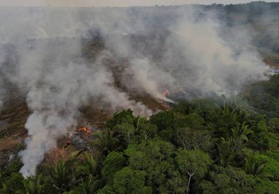 Explainer-Causes and consequences of Amazon fires and deforestation