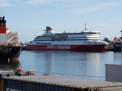 Ponies 'suffocated' on Bass Strait sailing