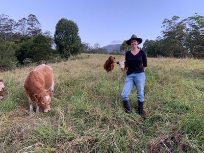 ‘These things are irreplaceable’: one farmer’s long view on foot-and-mouth disease