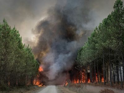 Heat, drought rekindle huge wildfire in southwest France