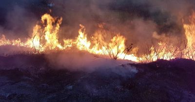 'Very high' wildfire warning for Scotland as temperatures to pass heatwave threshold