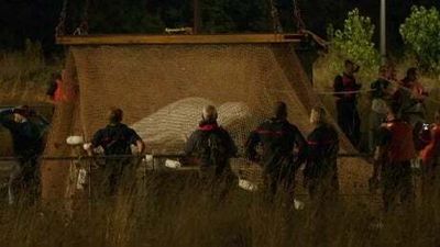 Beluga whale which strayed into River Seine dies despite rescue efforts