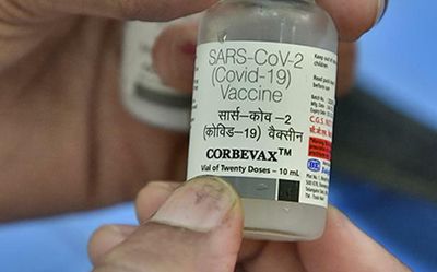 CorbeVax cleared as precaution dose vaccine, awaits WHO’s emergency use listing
