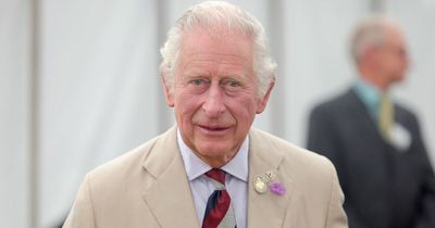 Prince Charles faces constant battle over royal work and helping the environment