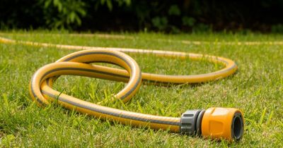 Hosepipe ban fines: How are people caught when they flout the rules?