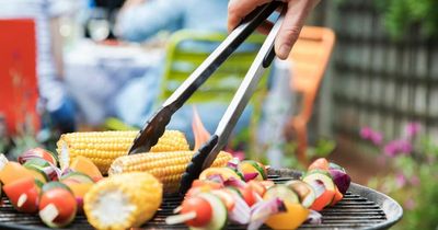 More germs on a barbecue than on your toilet seat, expert warns