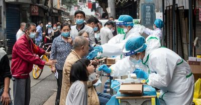 What is the Langya virus? New disease spread from shrews to humans detected in China