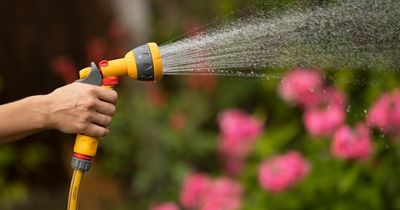 Hosepipe ban: How to stop water ban from wrecking your lawn?