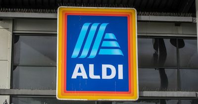 Aldi issues recall notice for summer Specialbuy item due to 'design defect'