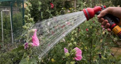 Is there going to be a hosepipe ban in Greater Manchester?