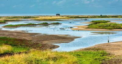 Best spots for nature walks in UK including Brandon Marsh and Looe Island