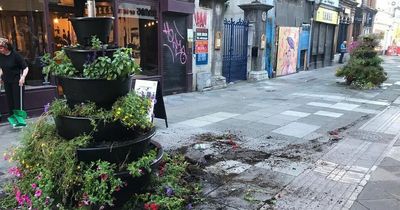 Vandals branded "mindlessly silly" after flower display destruction caught on CCTV in Cork city