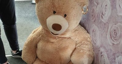 Baffled cops find car thief hiding in teddy bear after noticing it 'breathing'