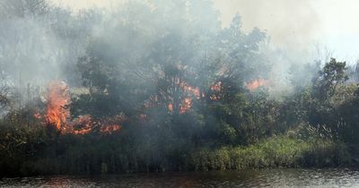 Dozens of firefighters tackle huge Gateshead blaze with plumes of smoke seen across Tyneside