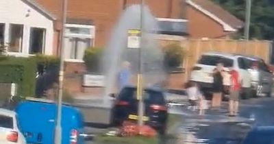 Kids play in fountain of water as hydrant set off 'illegally'