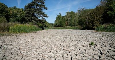 'Extreme weather events show we are now living with consequences of climate crisis'