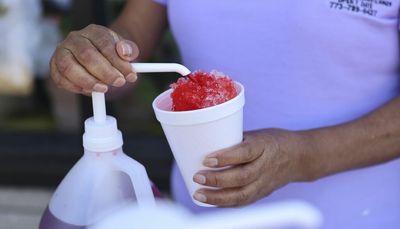 Selling icy desserts offers life lessons to some, life raft to others