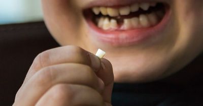 Girl writes 'demanding' tooth fairy letter which parents call 'bratty' dividing opinion