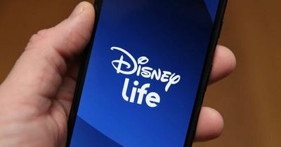 Disney overtakes streaming rival Netflix on total subscribers