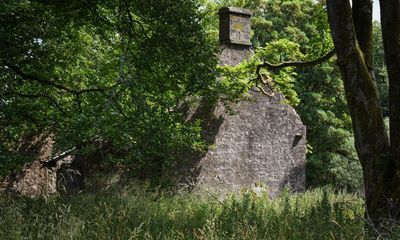 Country diary: The abandoned farmhouse has new occupants now