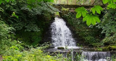 Rouken Glen burn 'contaminated' by vandals now safe for dog walkers after clean-up