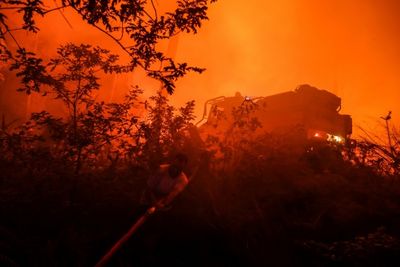 New wildfire outbreaks feared as blazes rage in France